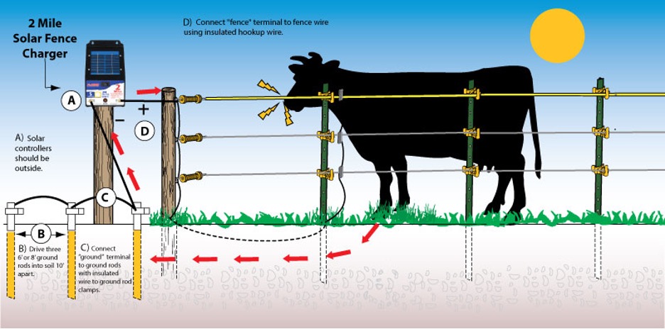 Solar Fencing
